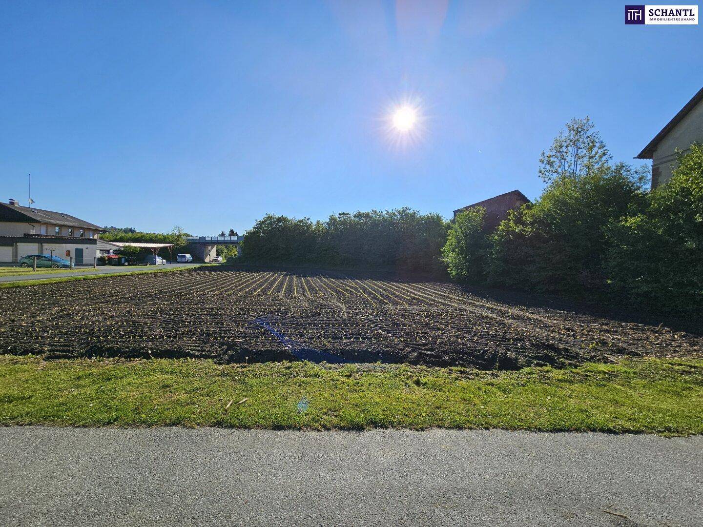 Sonniges Ackerland mit frischer Saat, umgeben von Bäumen und einem Gebäude im Hintergrund.