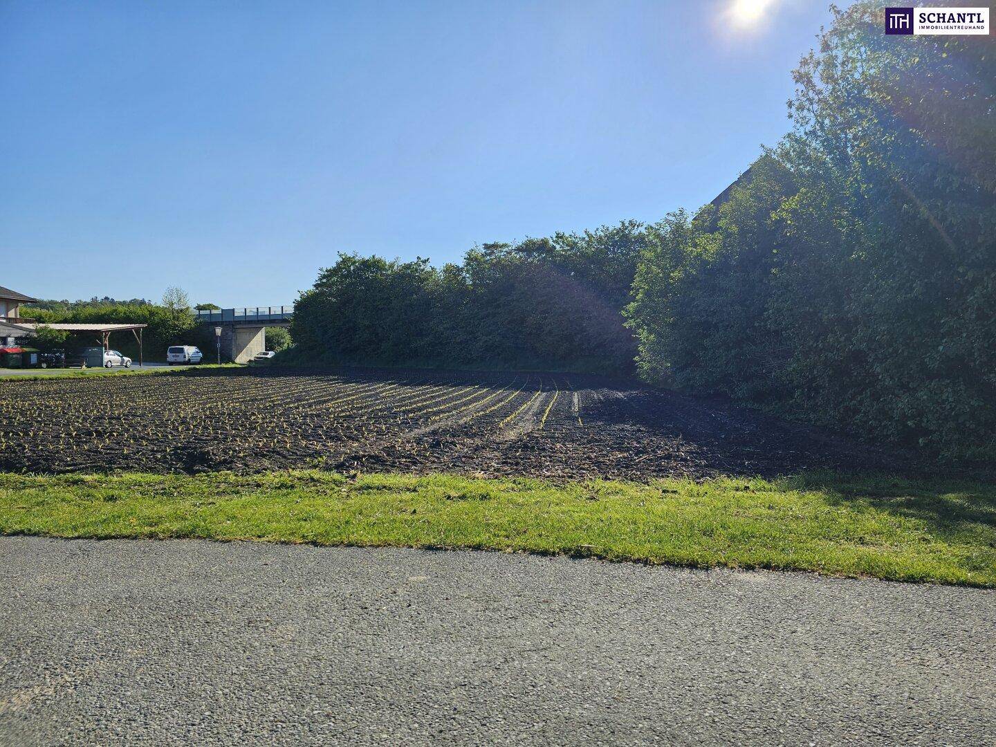 Sonniges Ackerland neben einer Straße, mit Bäumen und einer Brücke im Hintergrund.