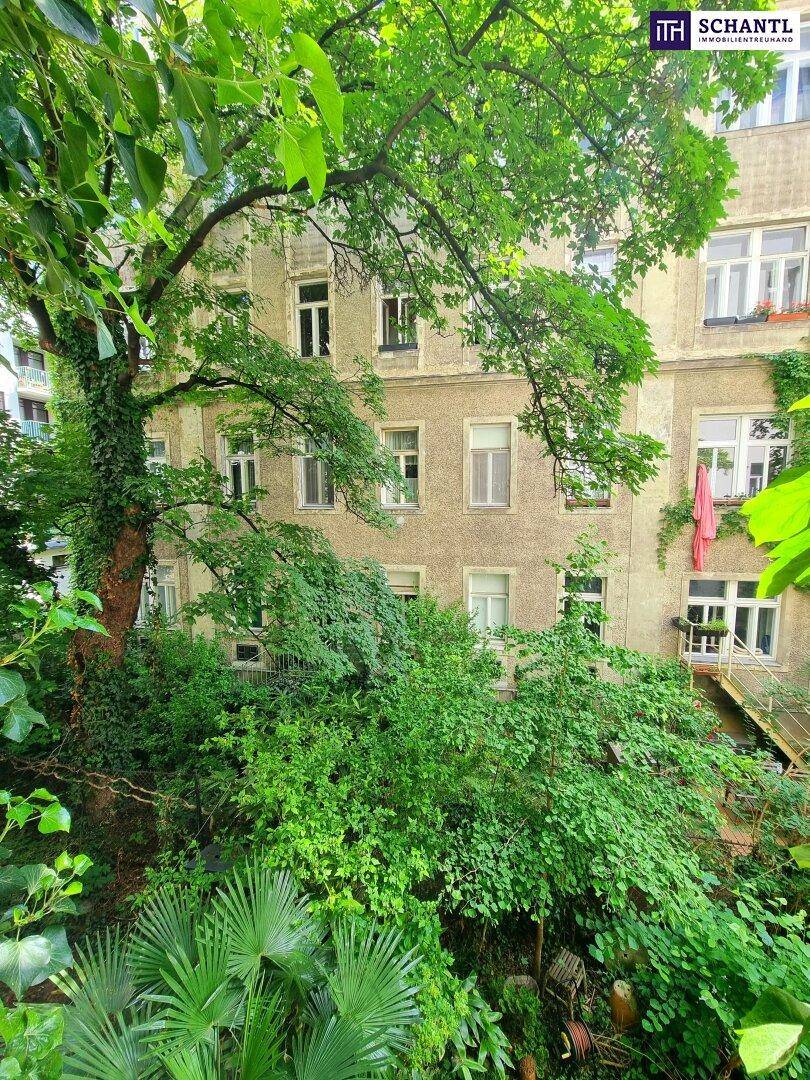 Grüner Innenhof mit üppiger Vegetation und Blick auf die historische Gebäudefassade.