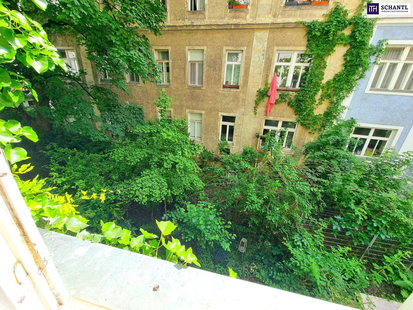 Blick aus dem Fenster auf einen grünen Innenhof mit dichter Vegetation und alten Gebäuden.