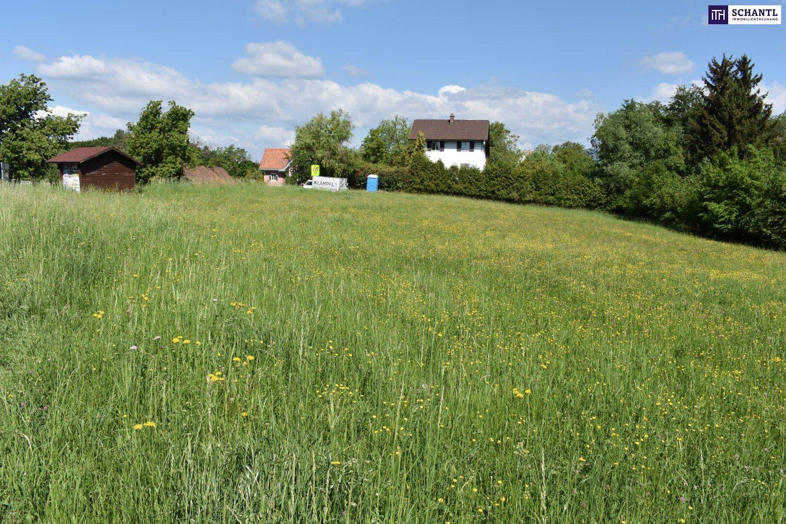 Grüne Wiese mit einem Wohnhaus und einem kleinen Holzschuppen im Hintergrund.