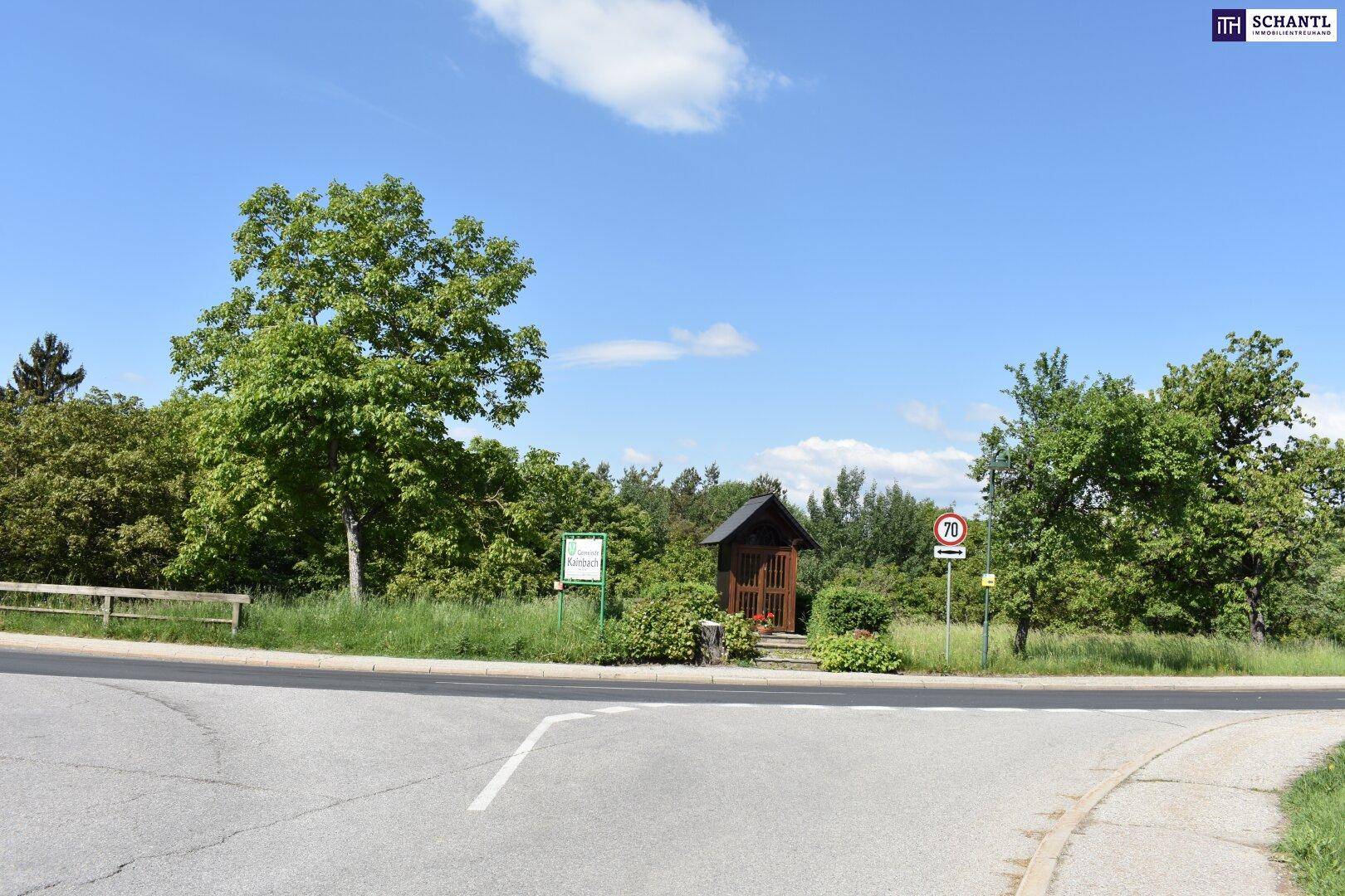 Straßenkreuzung mit Bäumen und einem kleinen hölzernen Schrein unter blauem Himmel.