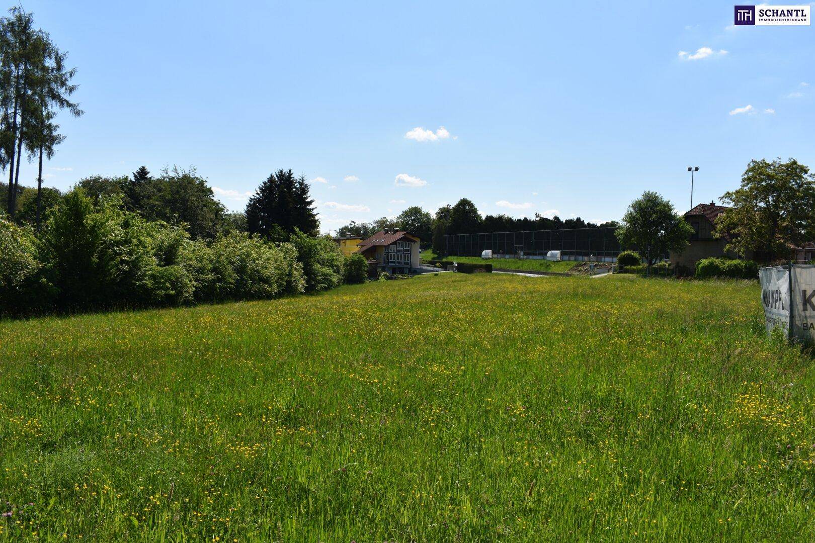 Weitläufige grüne Wiese mit Gebäuden und Bäumen im Hintergrund unter einem klaren blauen Himmel.