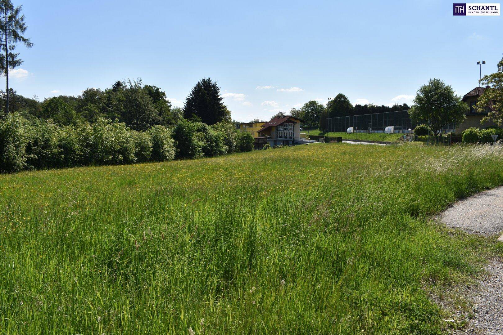 Weitläufige grüne Wiese mit Gebäuden und Bäumen im Hintergrund an einem sonnigen Tag.