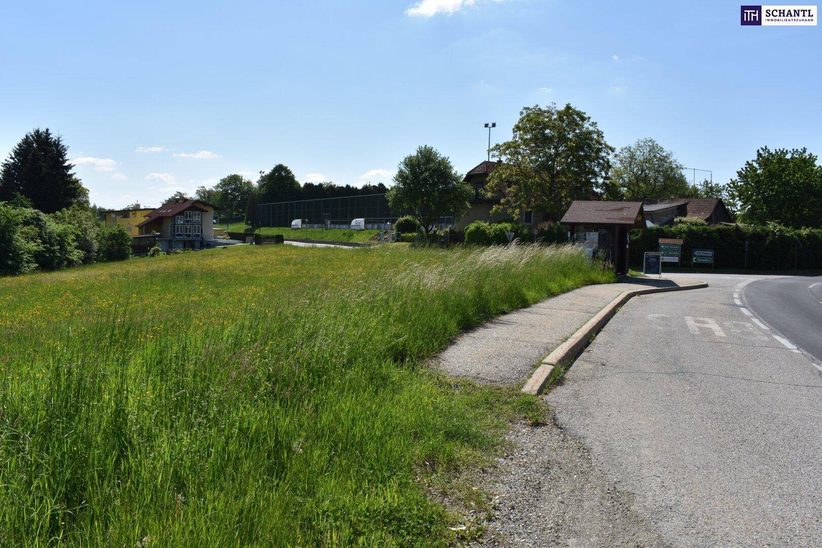 Grüne Wiese neben einer Straße mit einem kleinen Unterstand und Gebäuden im Hintergrund.