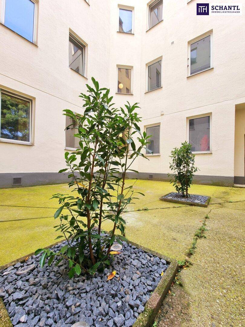 Innenhof mit kleinen Bäumen und Kiesbeeten, umgeben von Gebäudefassaden.