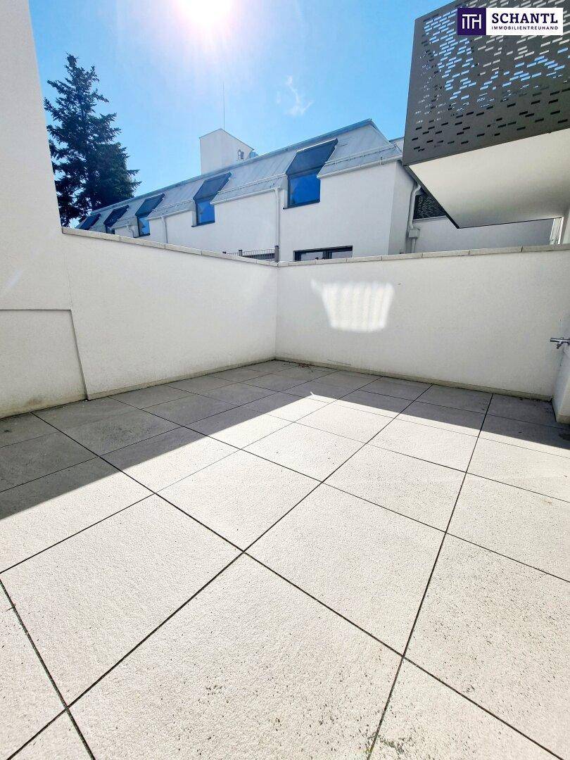 Sonniger, gefliester Terrassenbereich mit hohen Wänden für Privatsphäre.