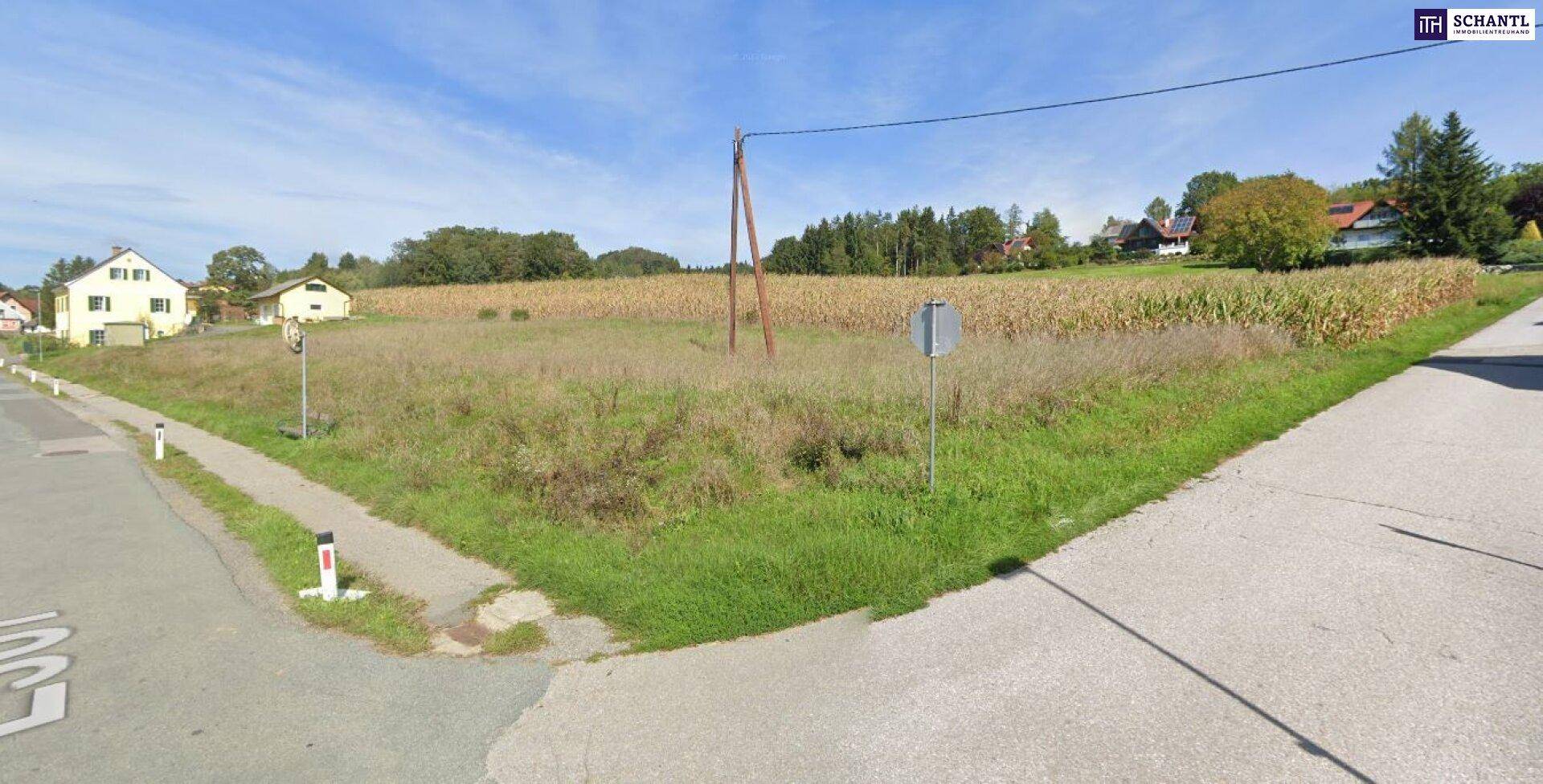 Offenes Grundstück an einer Straßenkreuzung mit weitem Blick auf Felder und ländliche Umgebung.