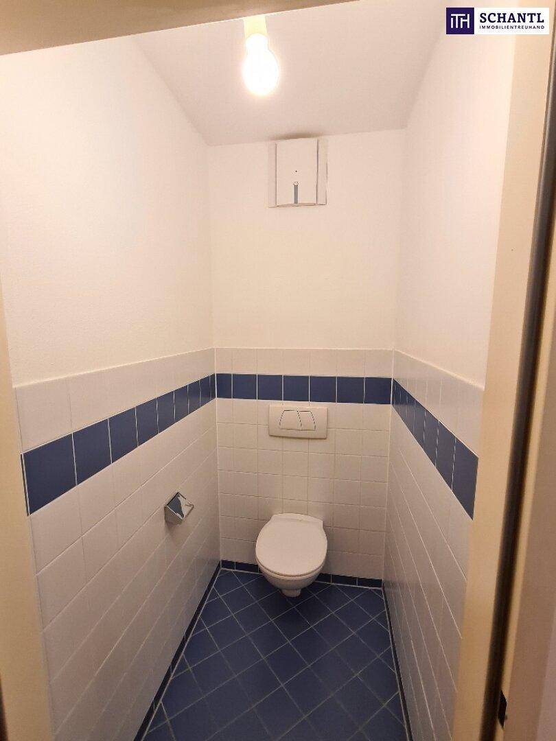 Separates WC mit Toilette und Fliesen in Weiß und Blau, in einem einfachen Stil.