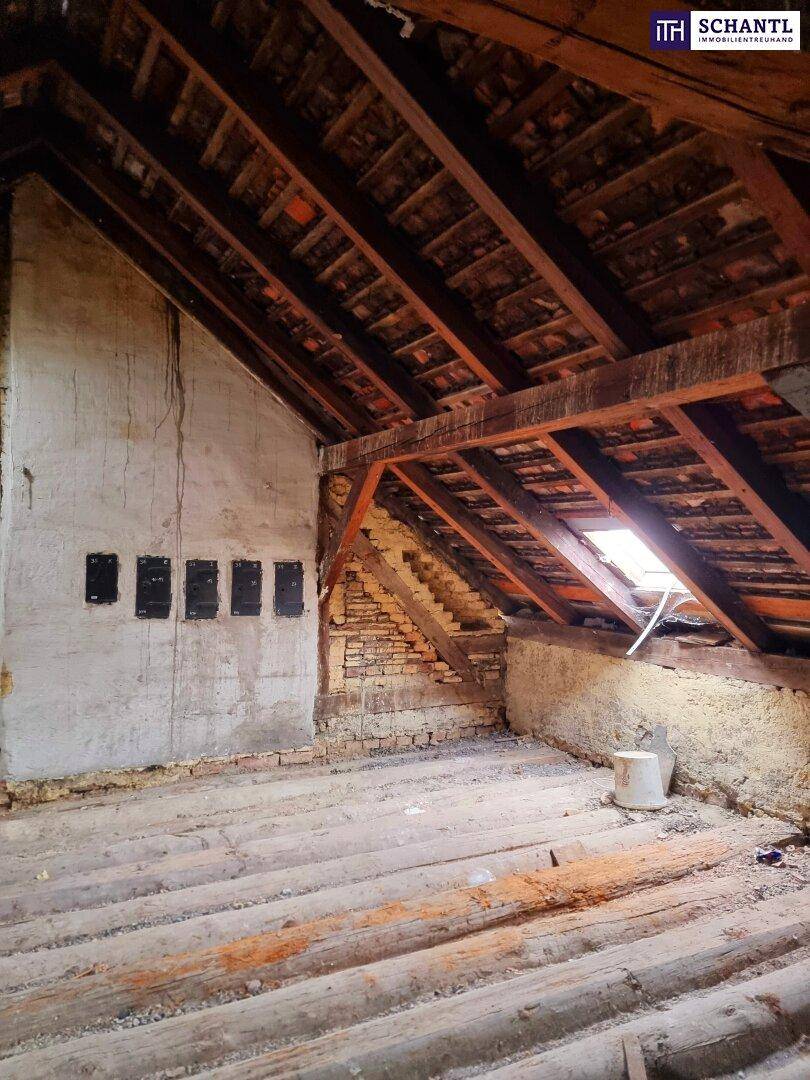 Dachbodenraum mit schrägen Wänden, sichtbaren Holzbalken und einem Dachfenster.
