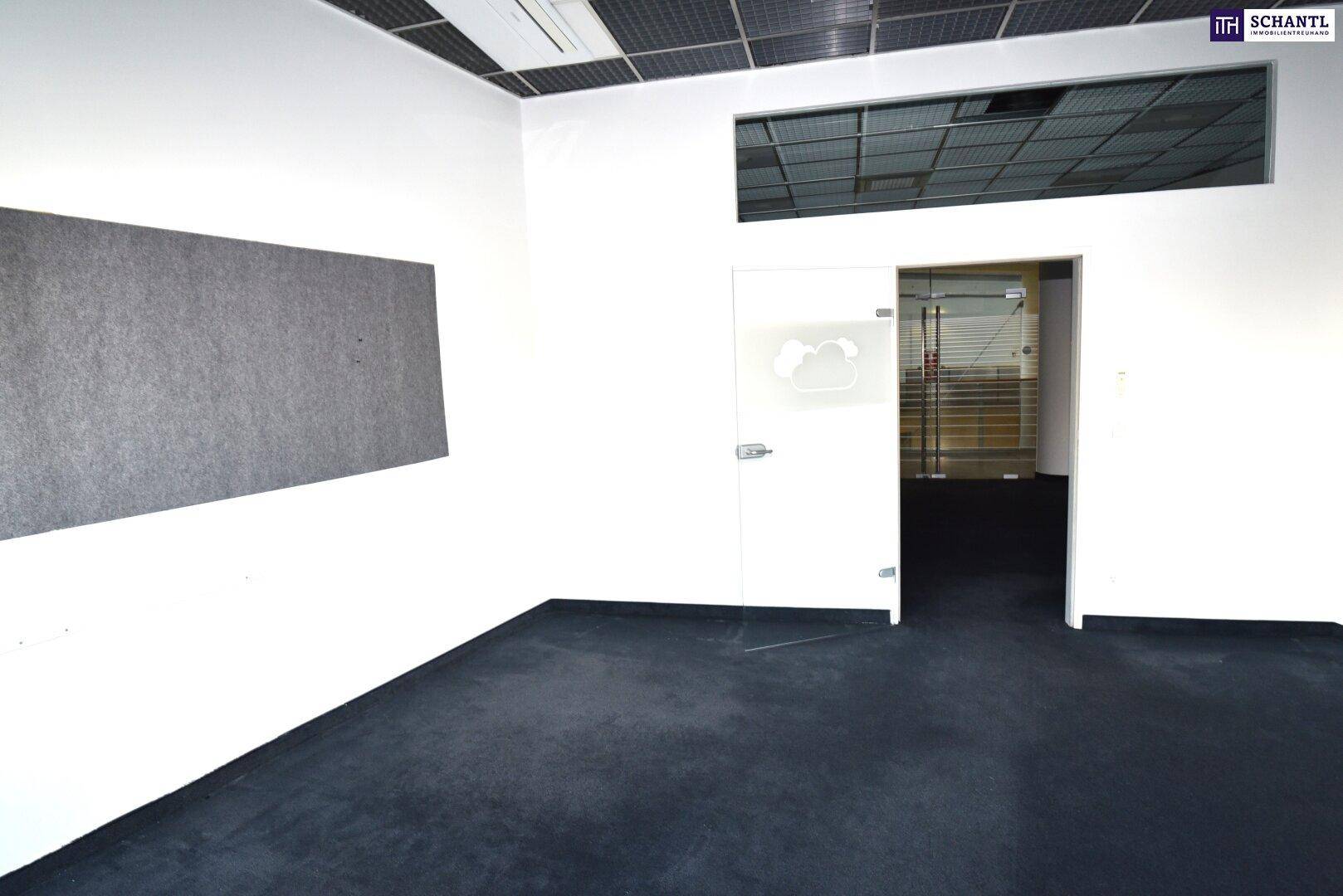 Leerer Büroraum mit dunklem Teppichboden, weißen Wänden und Rasterdecke.