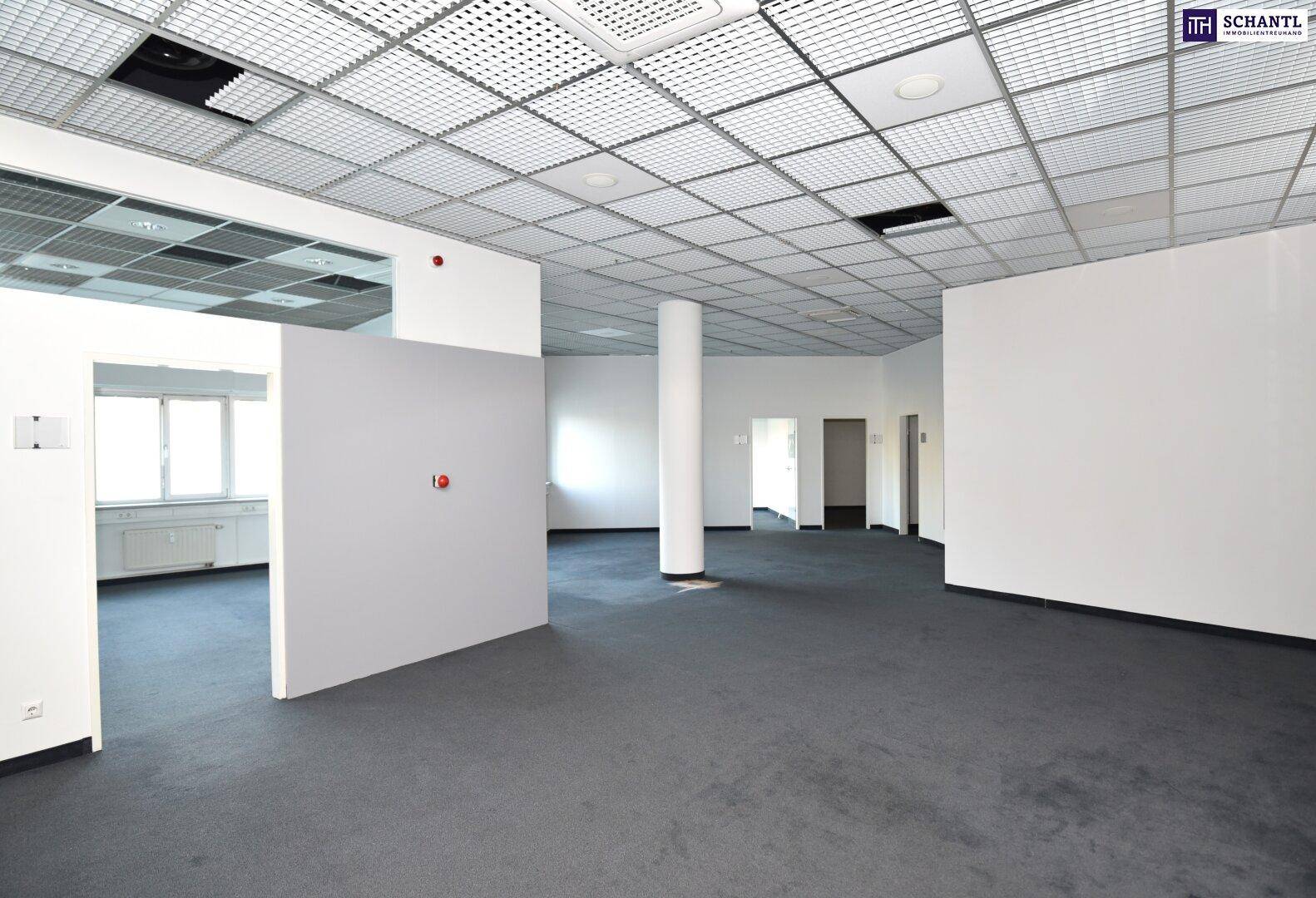 Geräumiger, leerer Bürobereich mit Teppichboden, Säule und abgehängter Decke, bereit zur Gestaltung.