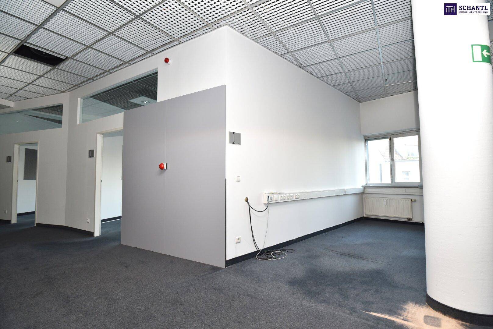Heller Büroraum mit Teppichboden, großen Fenstern und Heizkörpern unter der Fensterbank.