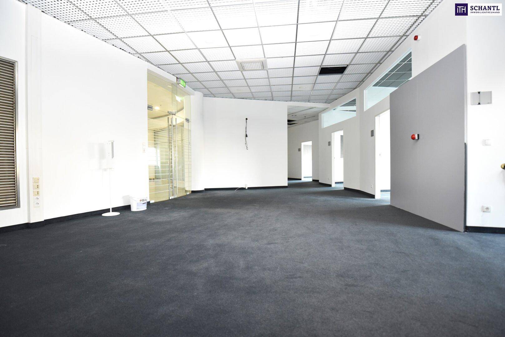 Großer, leerer Bürobereich mit Teppichboden, Rasterdecke und gläsernem Eingangsbereich.