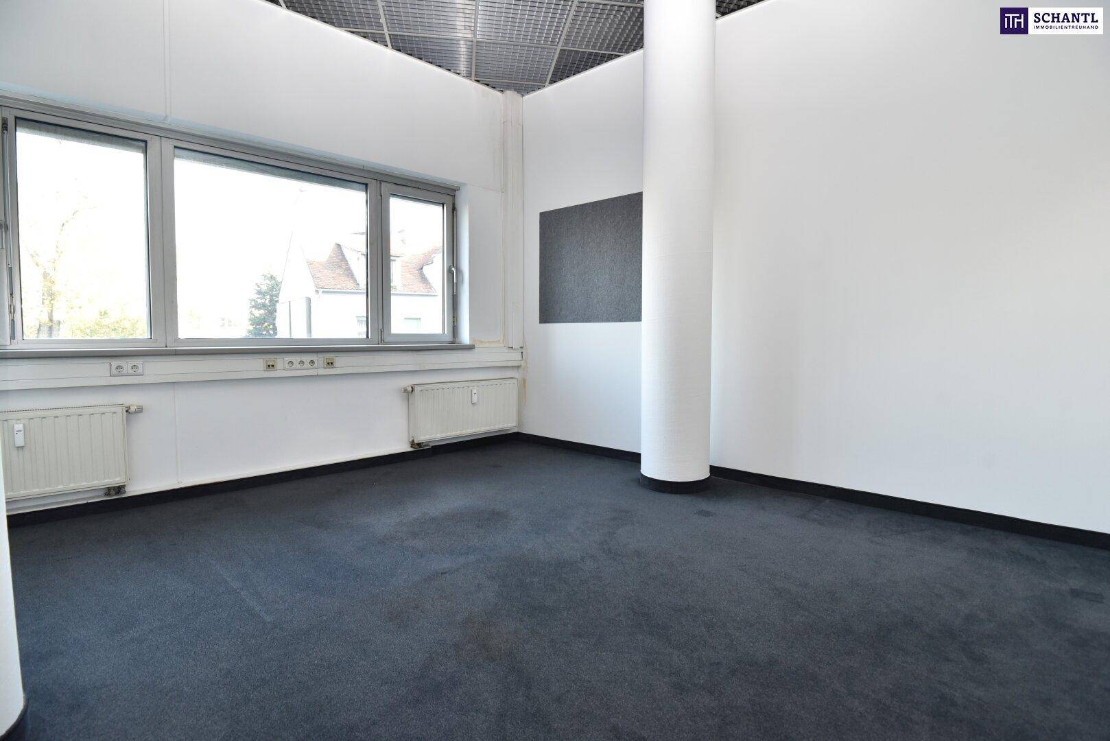 Heller Büroraum mit Teppichboden, Säule und großen Fenstern, die viel Tageslicht hereinlassen.