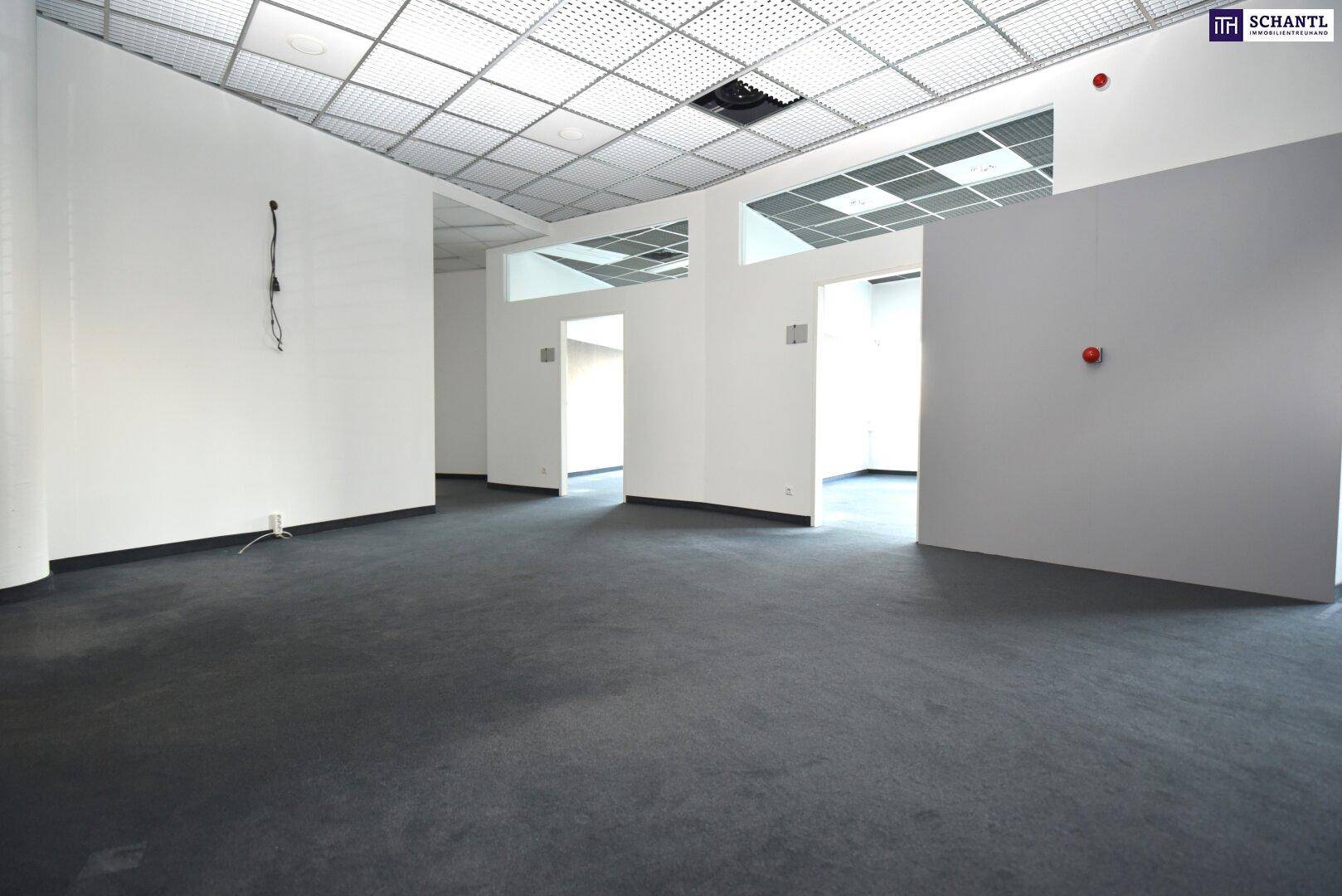 Geräumiger, leerer Bürobereich mit Teppichboden, Rasterdecke und mehreren Durchgängen.
