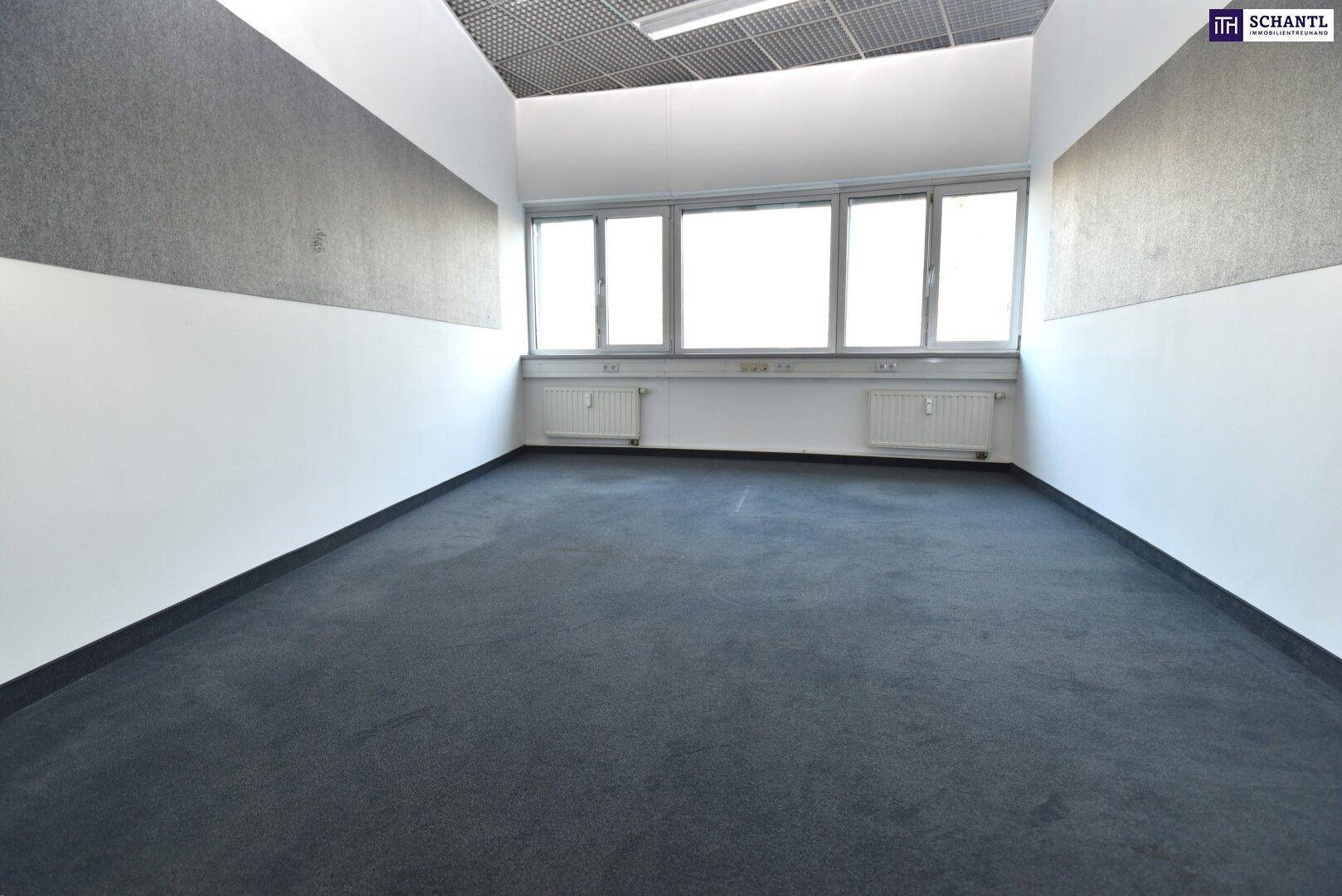 Schmaler Büroraum mit Teppichboden, weißen Wänden und einer Fensterfront für viel Helligkeit.
