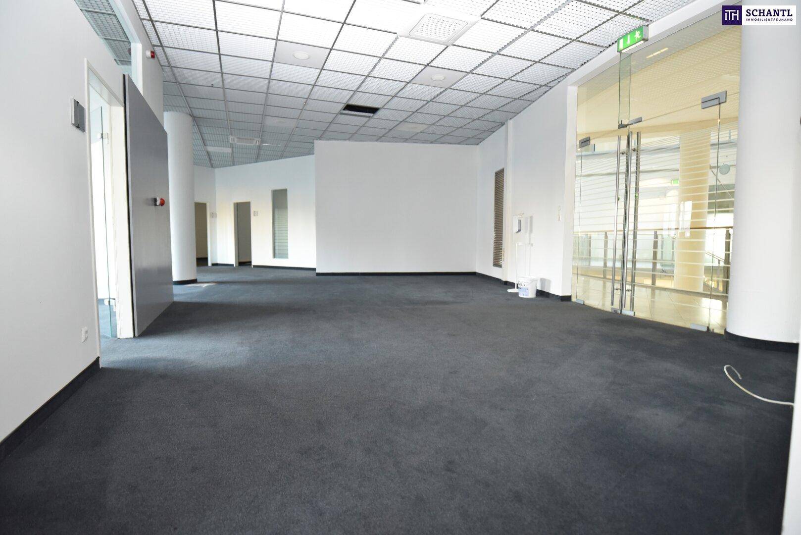 Großer, leerer Bürobereich mit Teppichboden, Rasterdecke und gläsernem Eingangsbereich.
