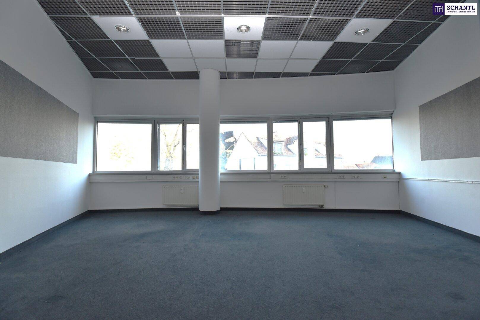 Heller Büroraum mit Teppichboden, Säule und breiter Fensterfront, die den Raum mit Licht füllt.