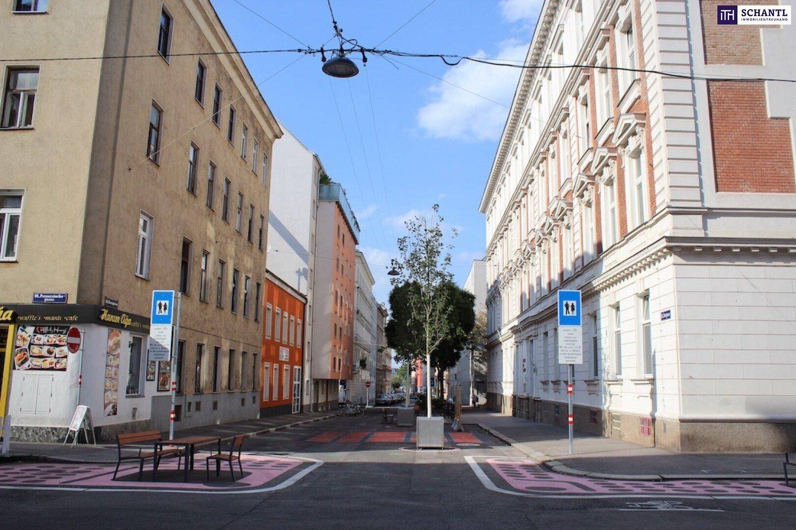 Blick auf eine ruhige Stadtstraße mit Bäumen und klassischen Gebäuden unter einem klaren blauen Himmel.