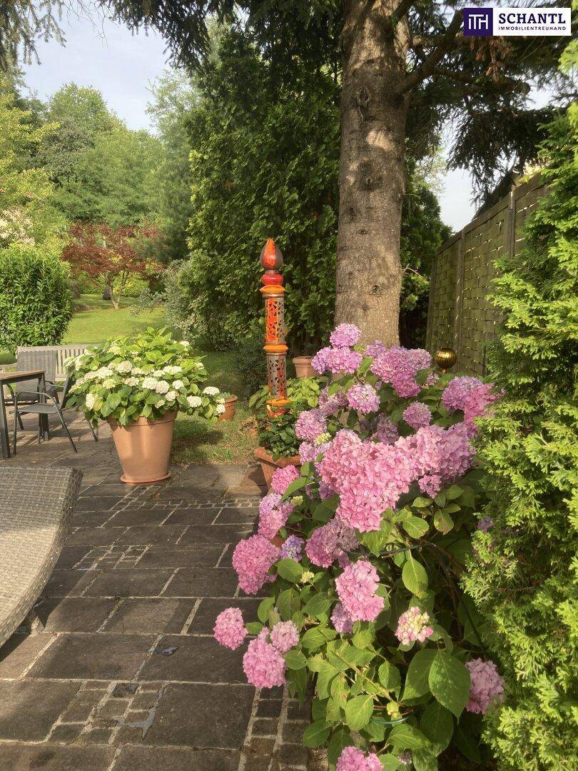 Gepflasterte Terrasse mit üppigen rosa Hortensien und weiteren Pflanzen, die in den Garten führt.