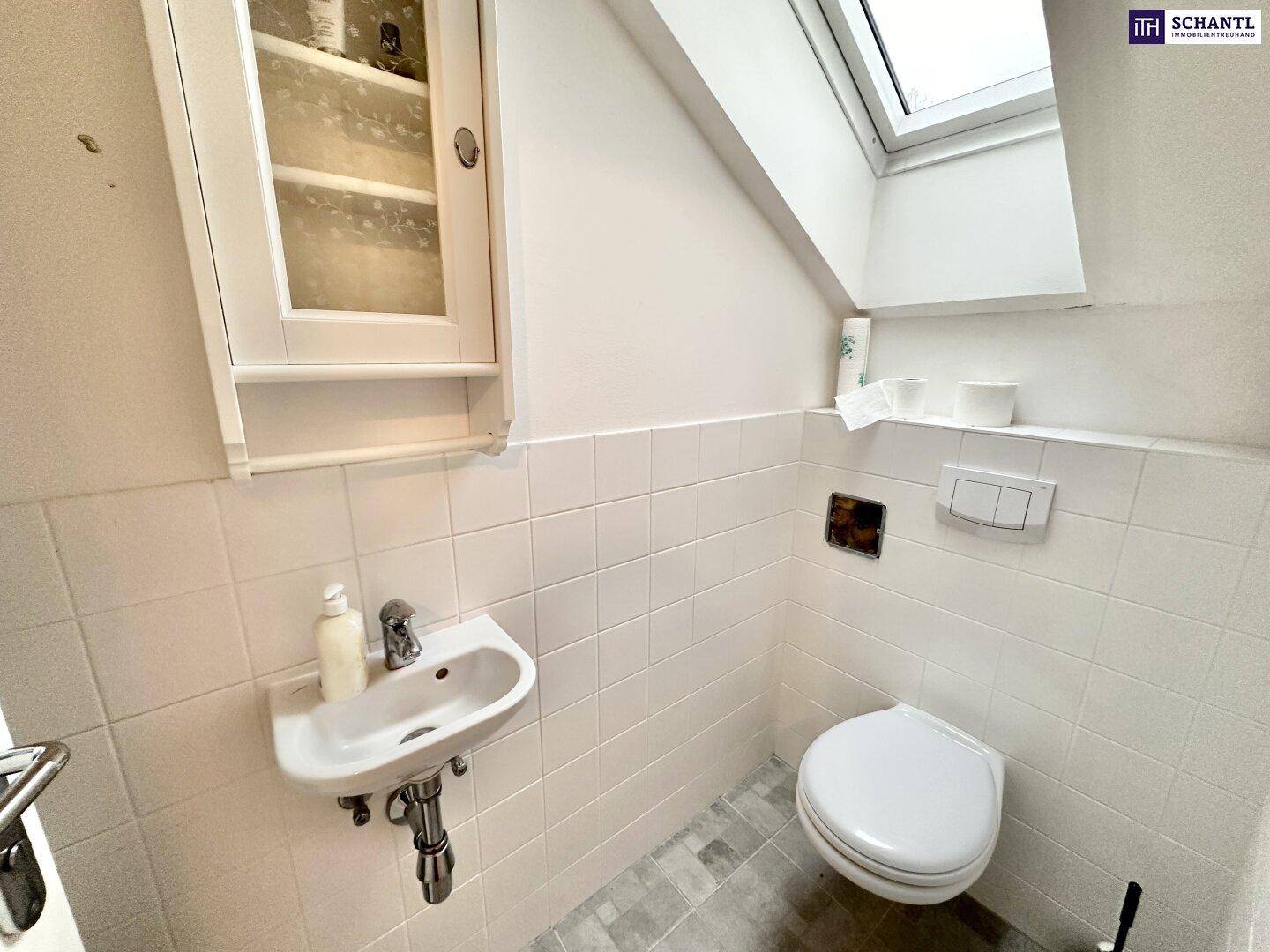 Kleines Gäste-WC mit Toilette, Waschbecken und Dachfenster für natürliches Licht.