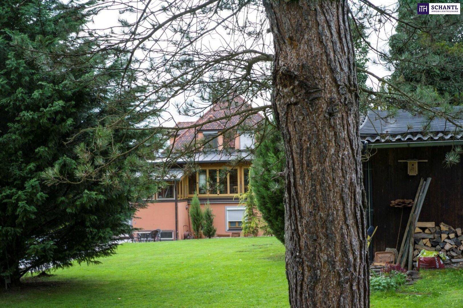 Großer, gepflegter Rasenbereich mit Bäumen und einem Gartenhaus, umgeben von viel Grün.