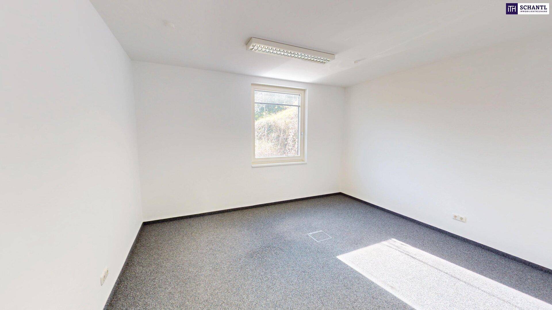 Attraktive Gewerbefläche in Graz-Straßgang mit ca. 138 m² Nutzfläche – Ihr Erfolgsstandort! Gleich Termin vereinbaren! – pohled 3