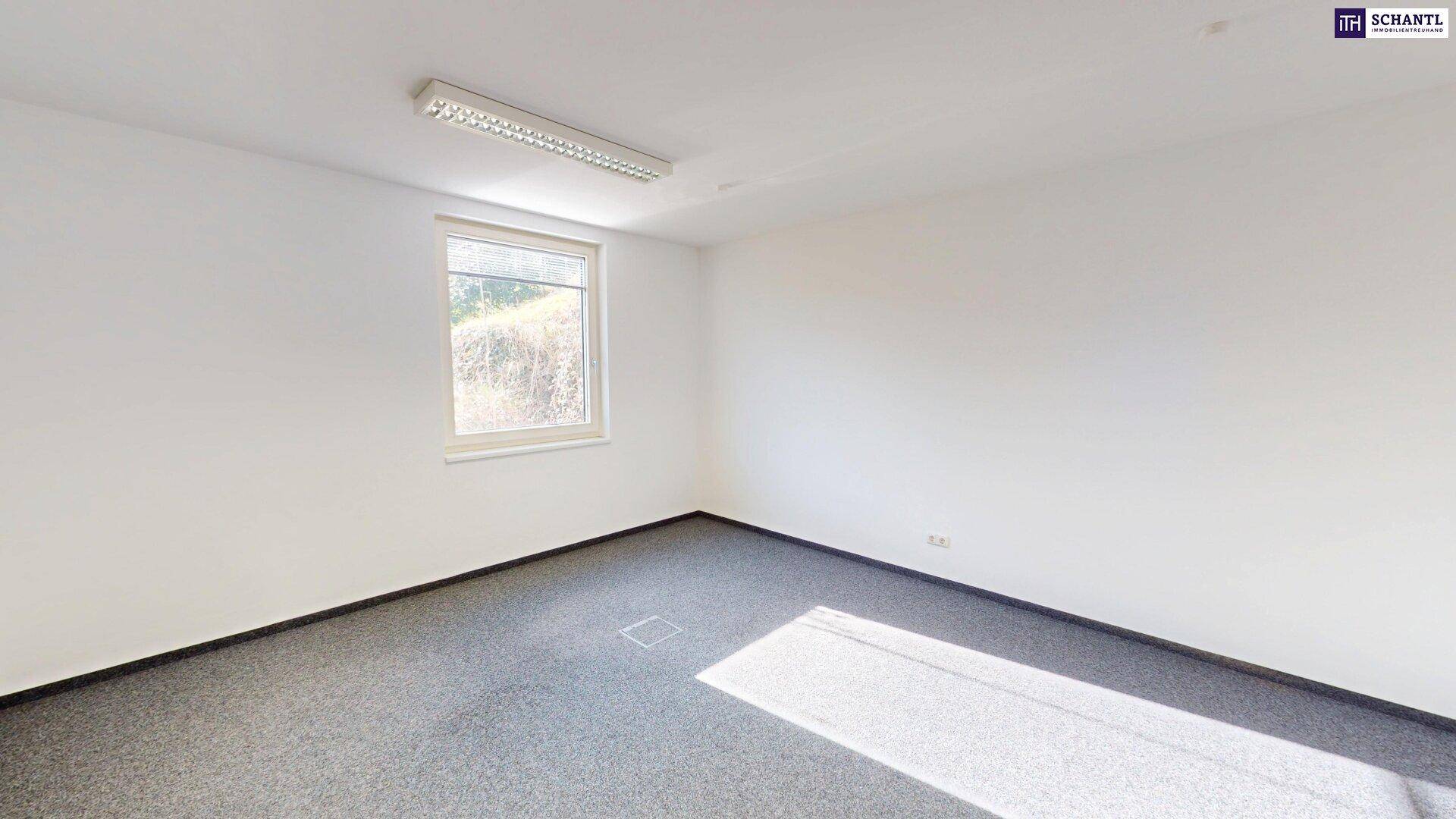 Attraktive Gewerbefläche in Graz-Straßgang mit ca. 138 m² Nutzfläche – Ihr Erfolgsstandort! Gleich Termin vereinbaren! – pohled 2
