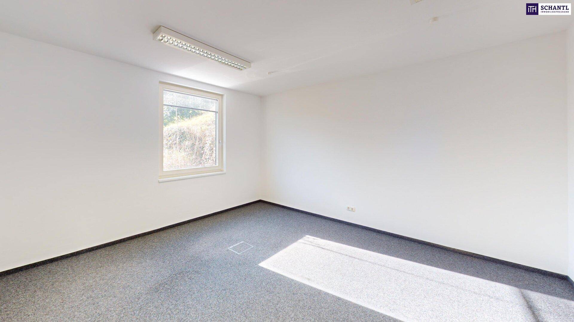Attraktive Gewerbefläche in Graz-Straßgang mit ca. 138 m² Nutzfläche – Ihr Erfolgsstandort! Gleich Termin vereinbaren! – pohled 5
