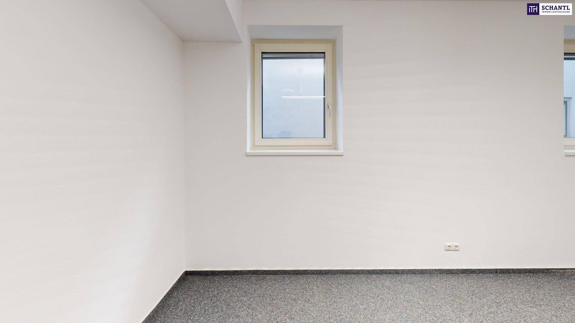 Schlichter Büroraum mit grauem Teppichboden und einem Fenster, das für ausreichend Helligkeit sorgt.