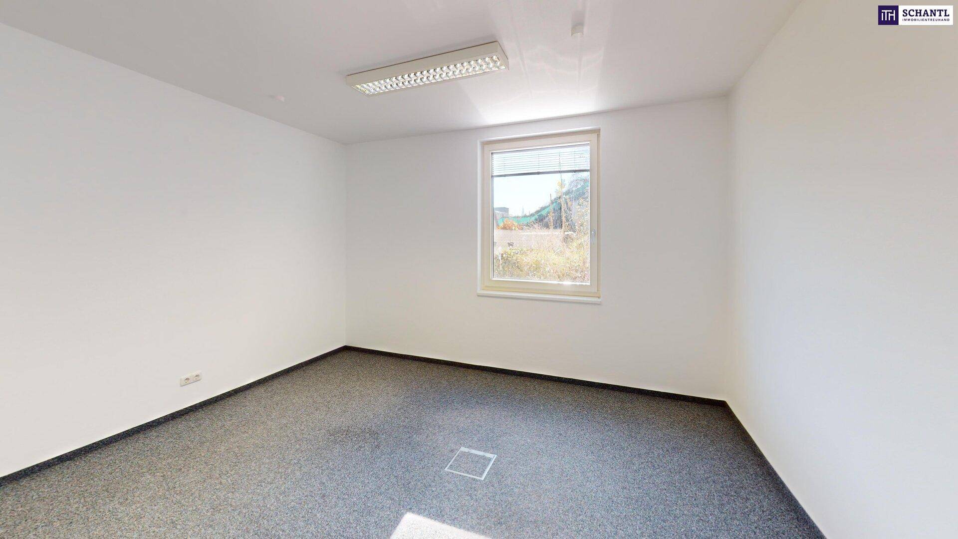 Freundlicher Büroraum mit grauem Teppichboden und einem Fenster, das viel Tageslicht hereinlässt.