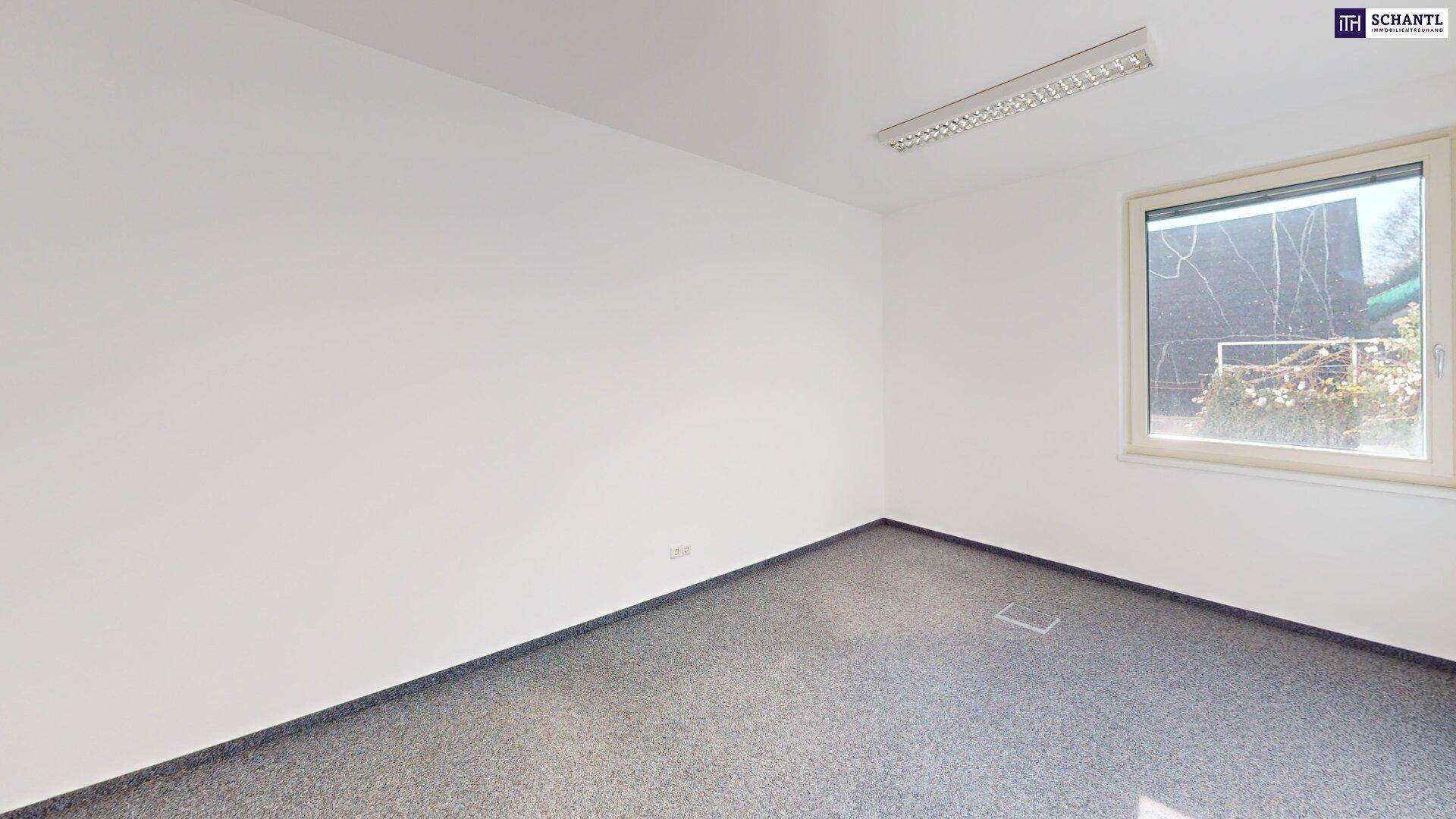 Heller Büroraum mit grauem Teppichboden und einem Fenster, das den Blick nach draußen freigibt.