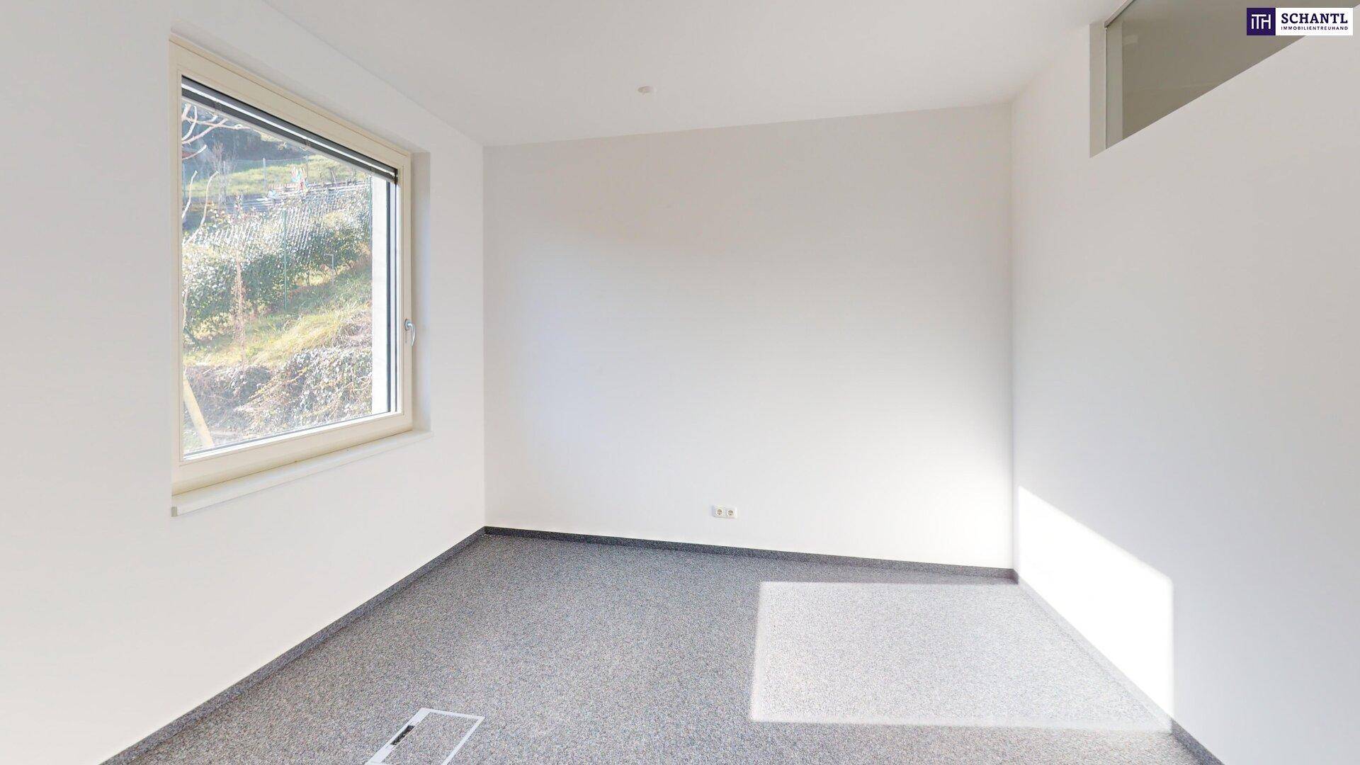 Heller Büroraum mit grauem Teppichboden und einem Fenster, das viel Tageslicht hereinlässt.