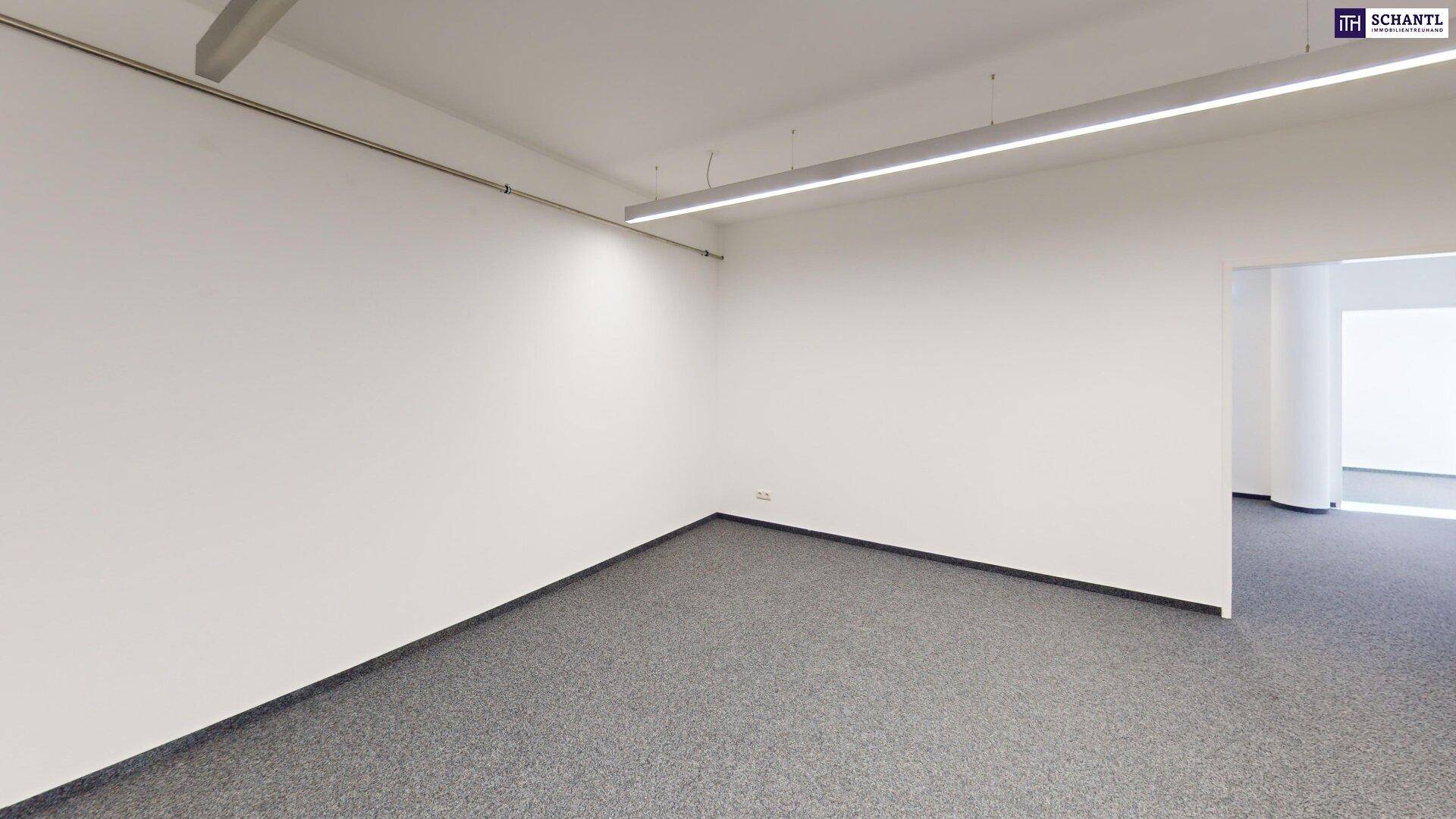 Geräumiger Büroraum mit grauem Teppichboden und moderner Deckenbeleuchtung.