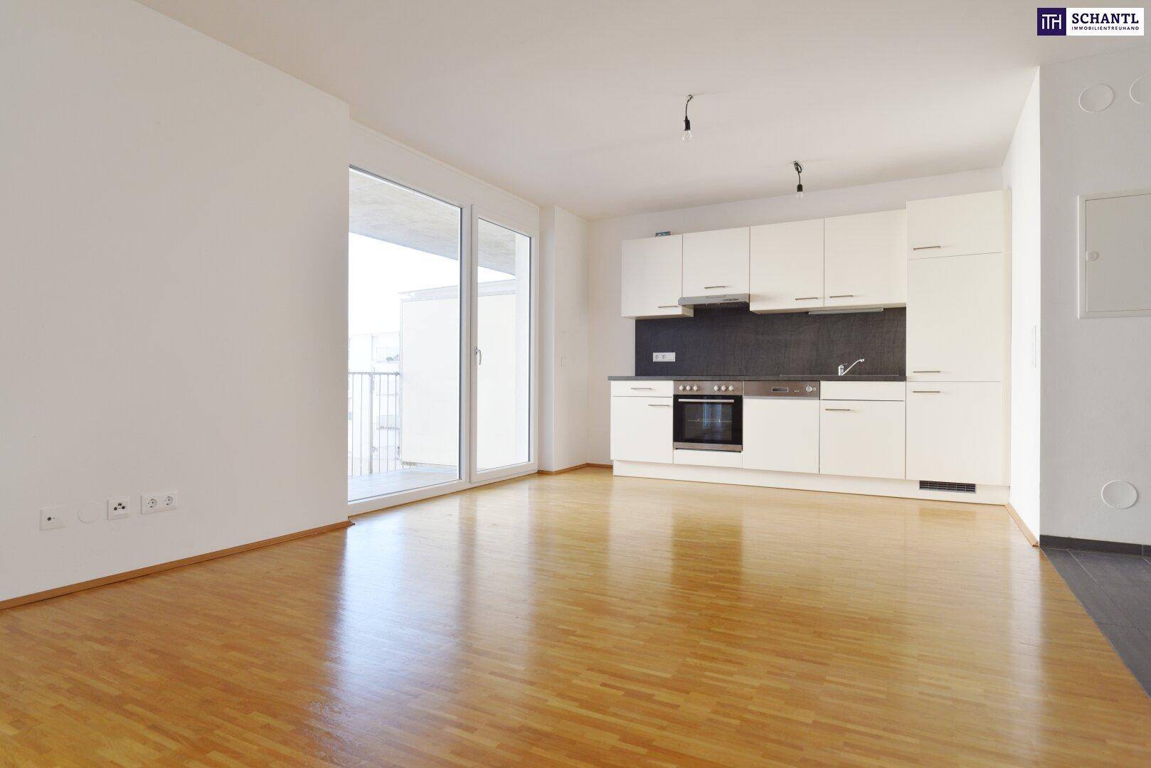 Offener Wohnbereich mit integrierter Küche, Parkettboden und direktem Zugang zum Balkon.