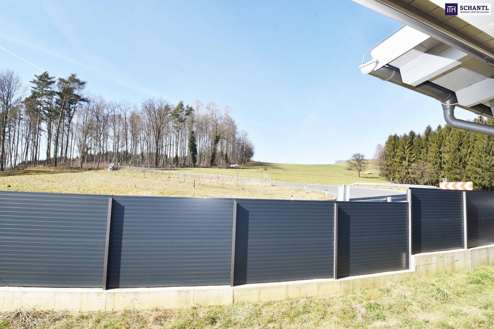 Blick auf eine moderne Zaunanlage mit dahinterliegender grüner Landschaft und Wald.