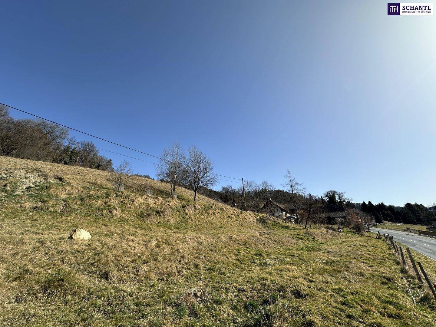Grüne Hügellandschaft mit vereinzelten Bäumen und Stromleitungen unter klarem blauem Himmel.
