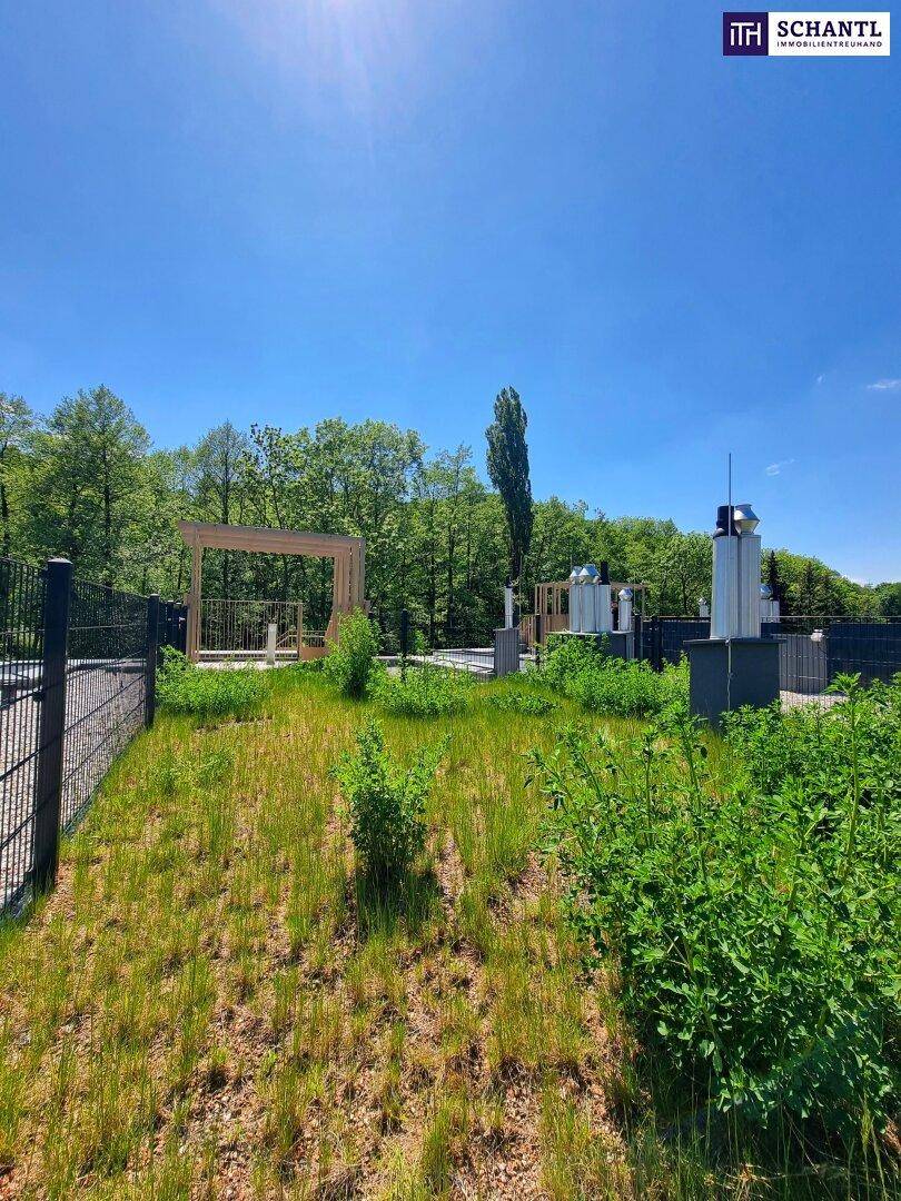 FIRE SALE!! Ein Platz, der mehr kann als wohnen. Wohnen mit WOW-Effekt! Riesiger Balkon und Terrasse + Privater Dachgarten + Grün wohin das Auge reicht + Luftwärmepumpe! - Widok 6