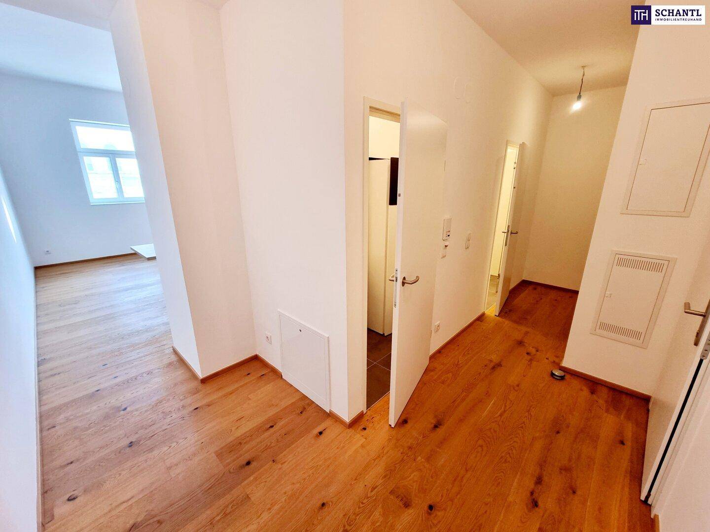 Heller Eingangsbereich mit Holzboden und Zugang zu weiteren Räumen.