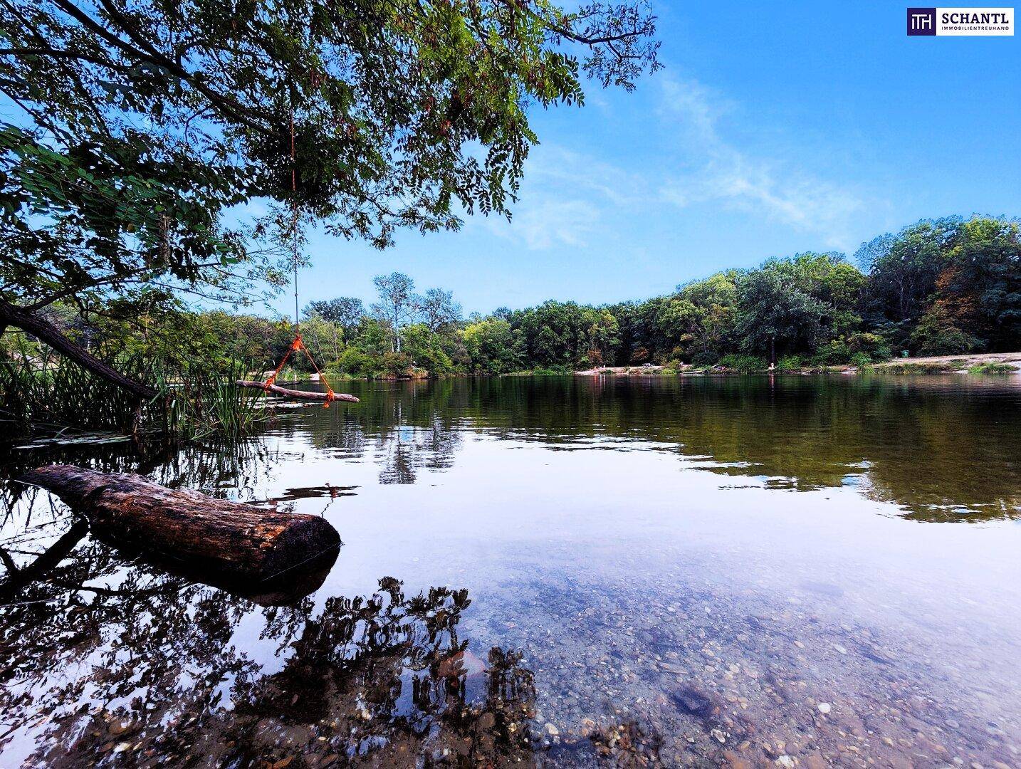Klarer See mit Baumstamm im Vordergrund und üppiger Ufervegetation unter strahlend blauem Himmel.