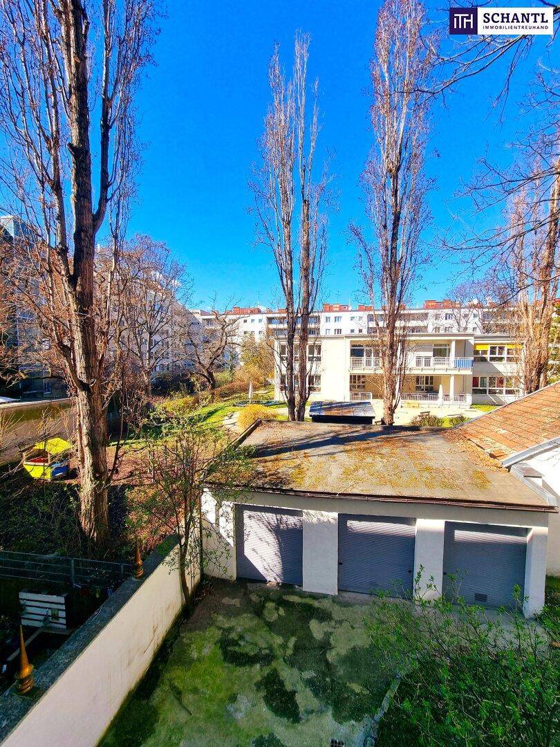 Blick auf Garagen und umliegende Gebäude mit hohen Bäumen unter blauem Himmel.