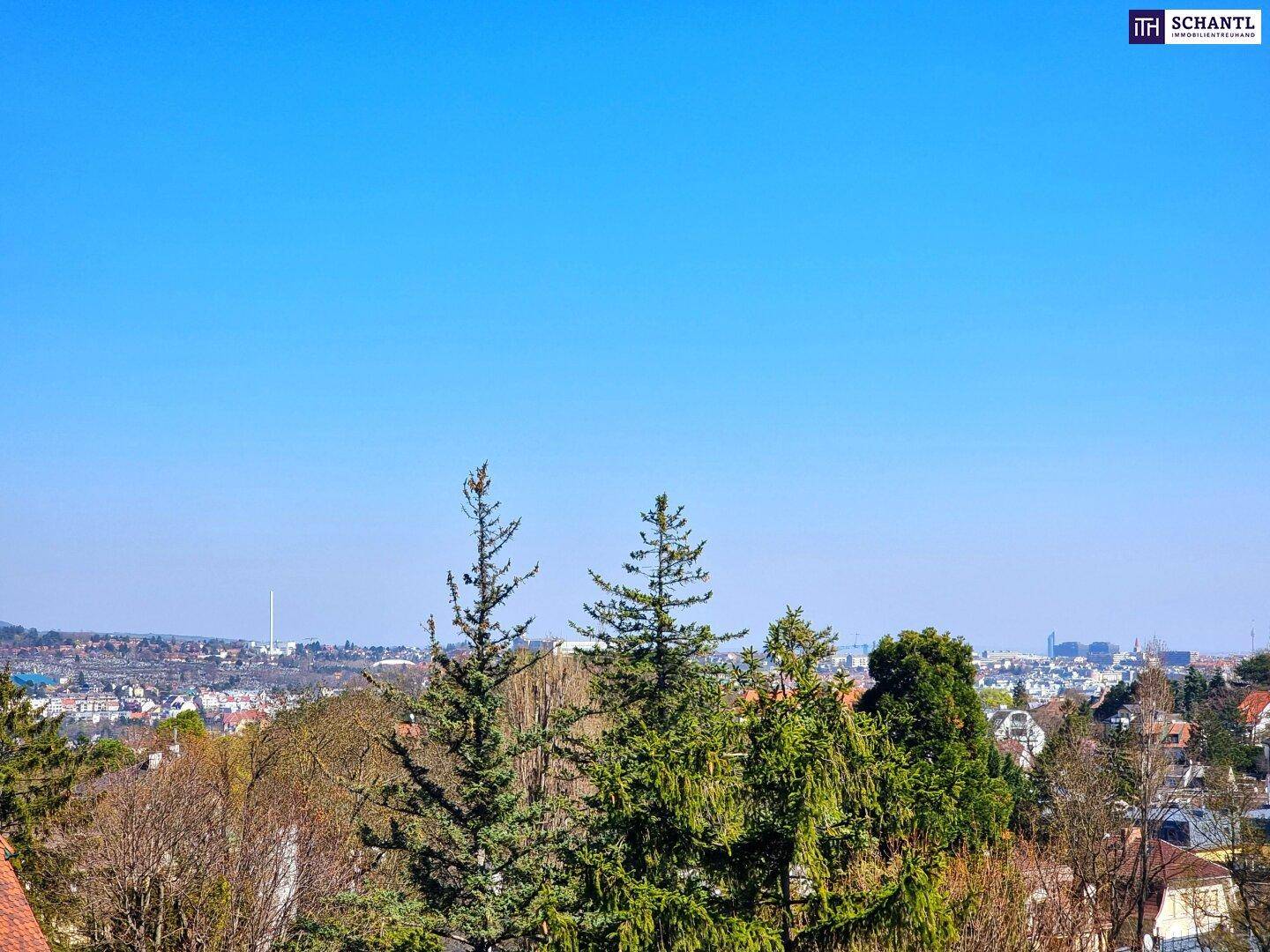 Weitblick über die Stadt und grüne Baumwipfel an einem sonnigen Tag.
