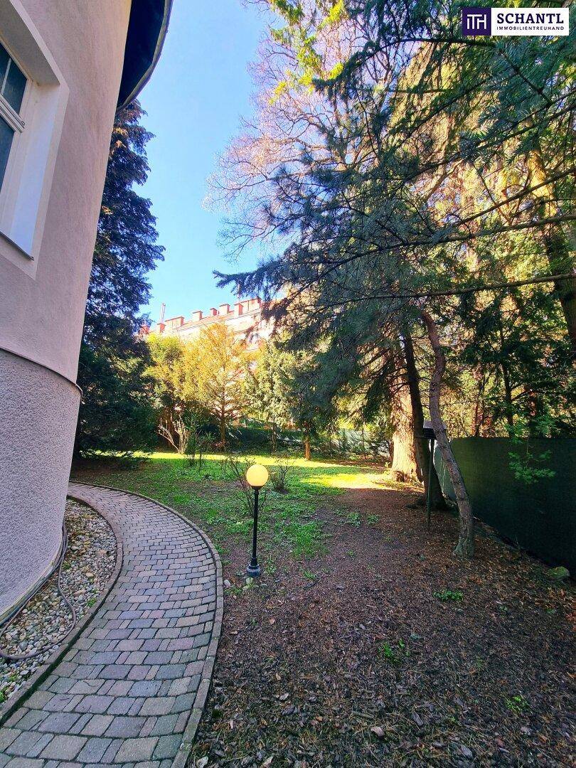 Gepflegter Gartenbereich mit einem geschwungenen Weg und hohen Bäumen.