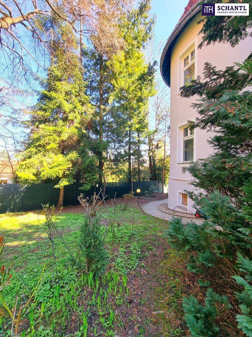 Gartenansicht mit üppiger Vegetation, Bäumen und einem gepflasterten Weg.