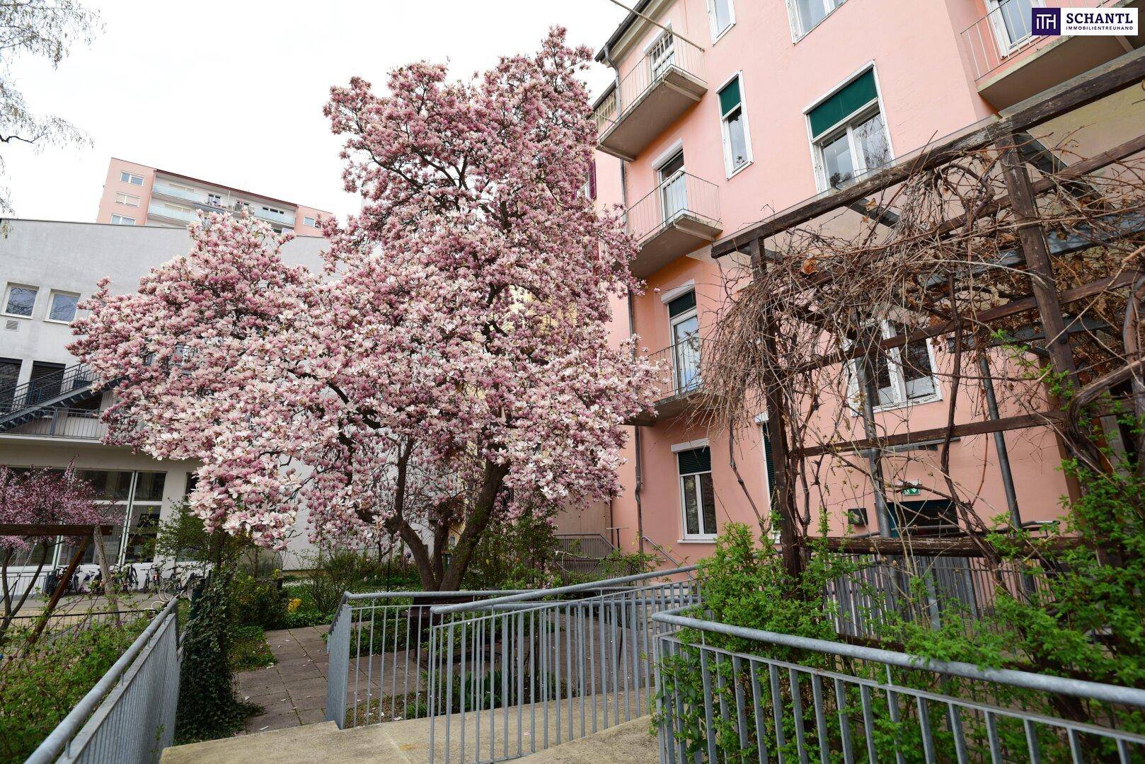 Rückseite eines Gebäudes mit blühendem Magnolienbaum und einer barrierefreien Rampe zum Eingang.
