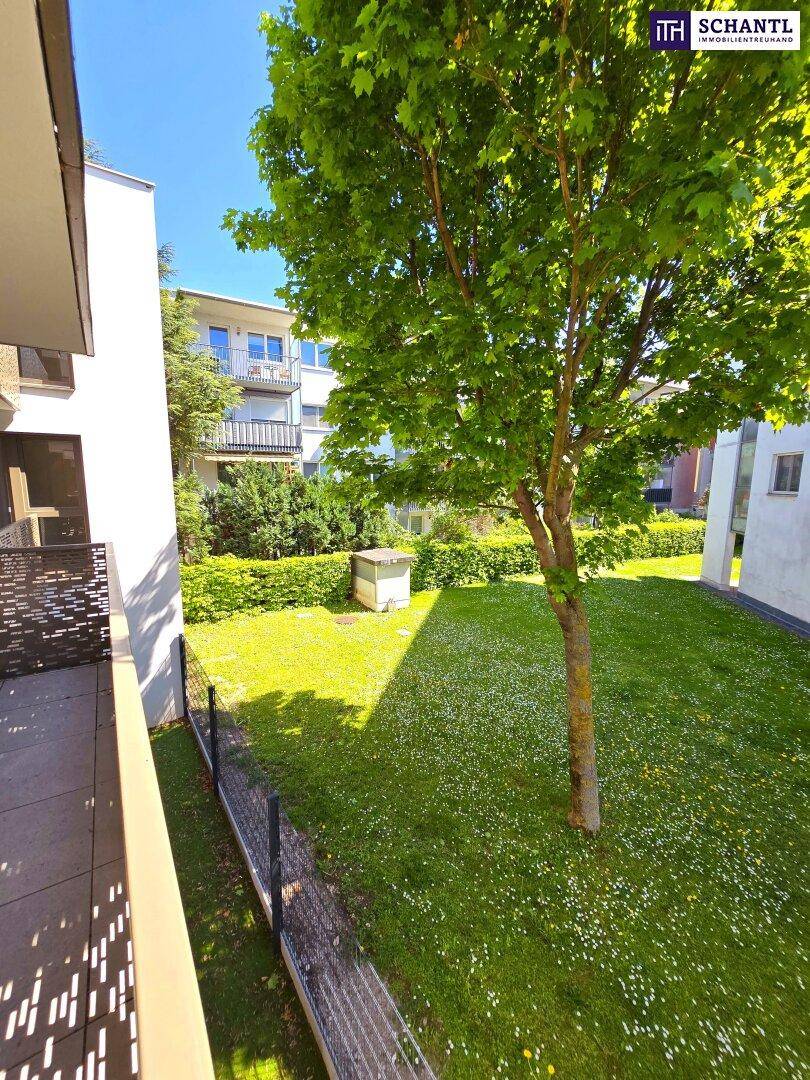 Grünblick für die Seele - Cashflow fürs Konto! Perfektes Investment! Kompakter Grundriss mit großem Balkon! Blick ins Grüne + Komplette Ruhelage + Energieeffizienz + Perfekte Anbindung und Nahversorgung! Jetzt zugfreifen! - Vista 3