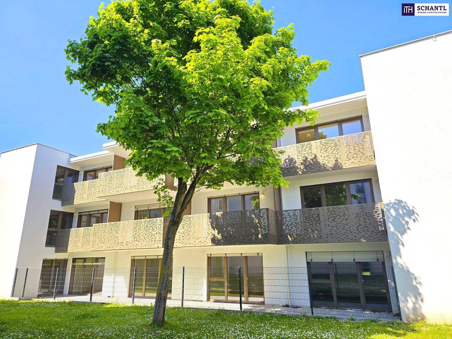 Moderne Wohnanlage mit Balkonen und einem grünen Gartenbereich mit Baum im Vordergrund.