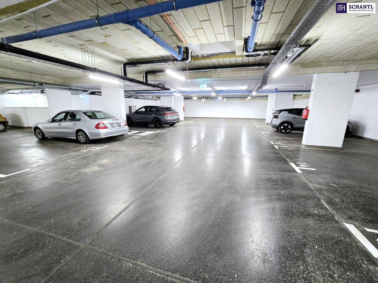Geräumige Tiefgarage mit markierten Stellplätzen und mehreren Fahrzeugen.