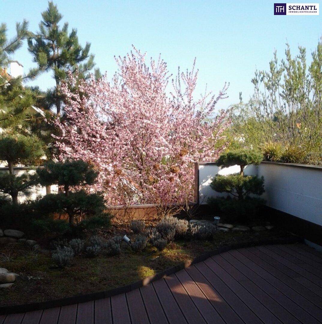 Holzterrasse mit blühendem Baum und dekorativen Pflanzen, ideal zum Entspannen im Freien.